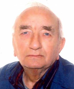 Romano Mazzacurati
