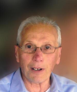 FELICE BORSANI