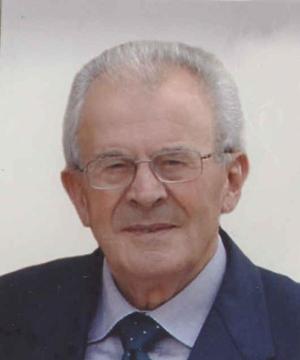 Vittorio Agnolon