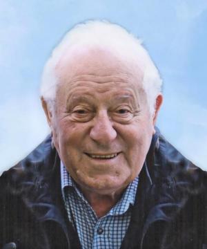 FRANCESCO ERMANNO KRAVINA