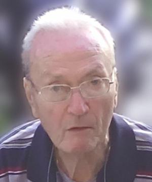 GIULIETTO ZORZI