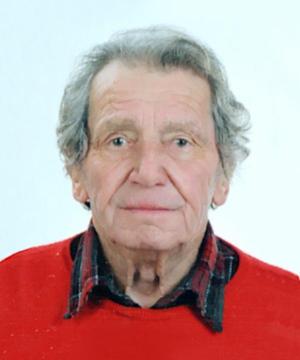 Lodovico Piccinin
