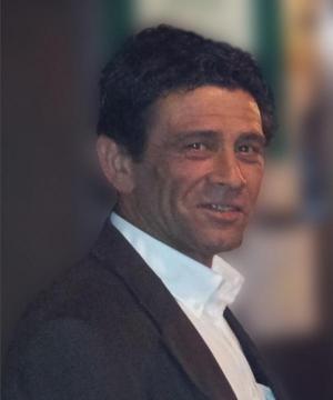Vincenzo Frau