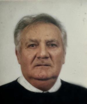 MICHELE AMBROGIO BORSANI
