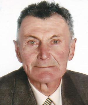 LUIGI MALAVASI