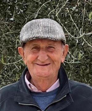 Guerino Cetrullo
