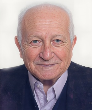 Vico castellini