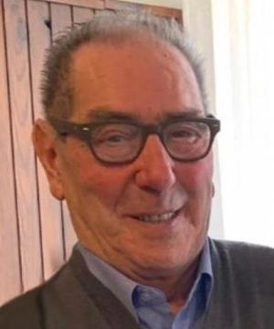 Dino Fassina