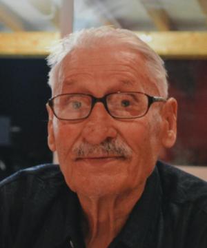 ROMANO VALERIO MENEGATTI