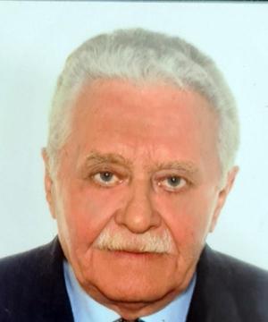MARIO MARCOMIN