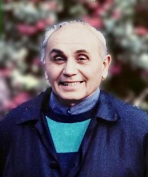 Alcide Fulgeri