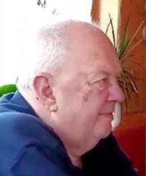 Michele Biasin
