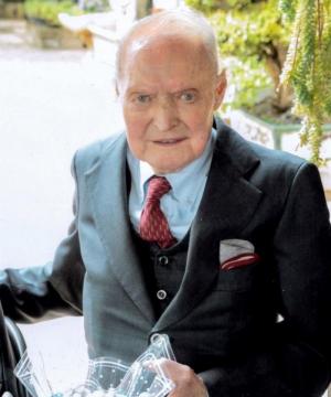 ALPI ZULIANI