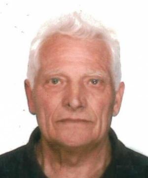 GIOVANNI MARIN