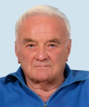 ERMES MERLINI