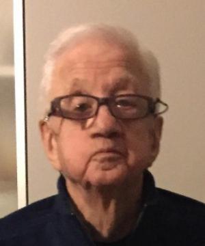 SILVANO BEARZI