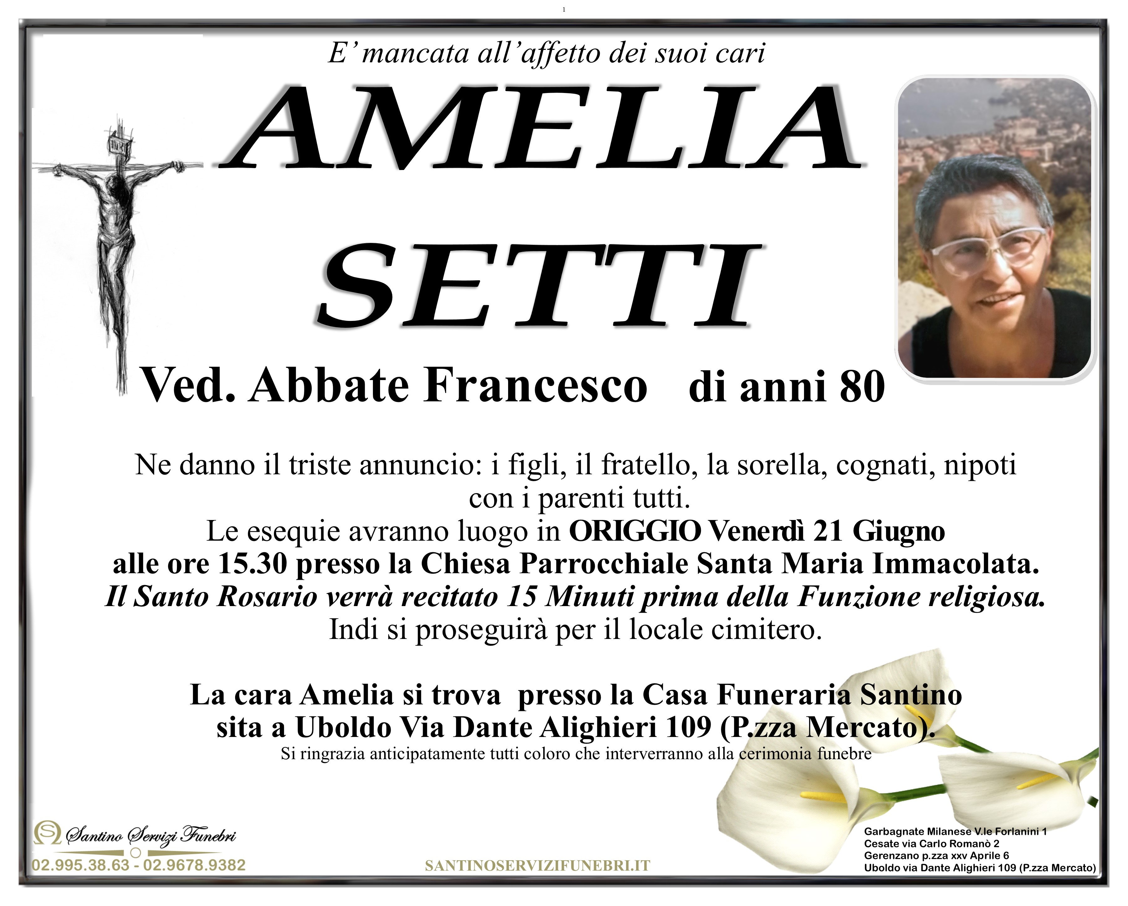 AMELIA SETTI