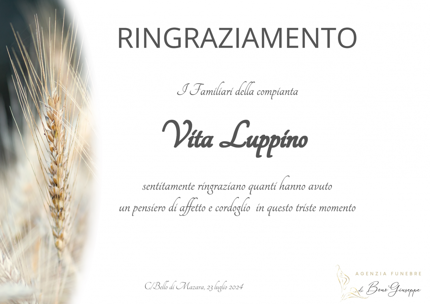Vita Luppino