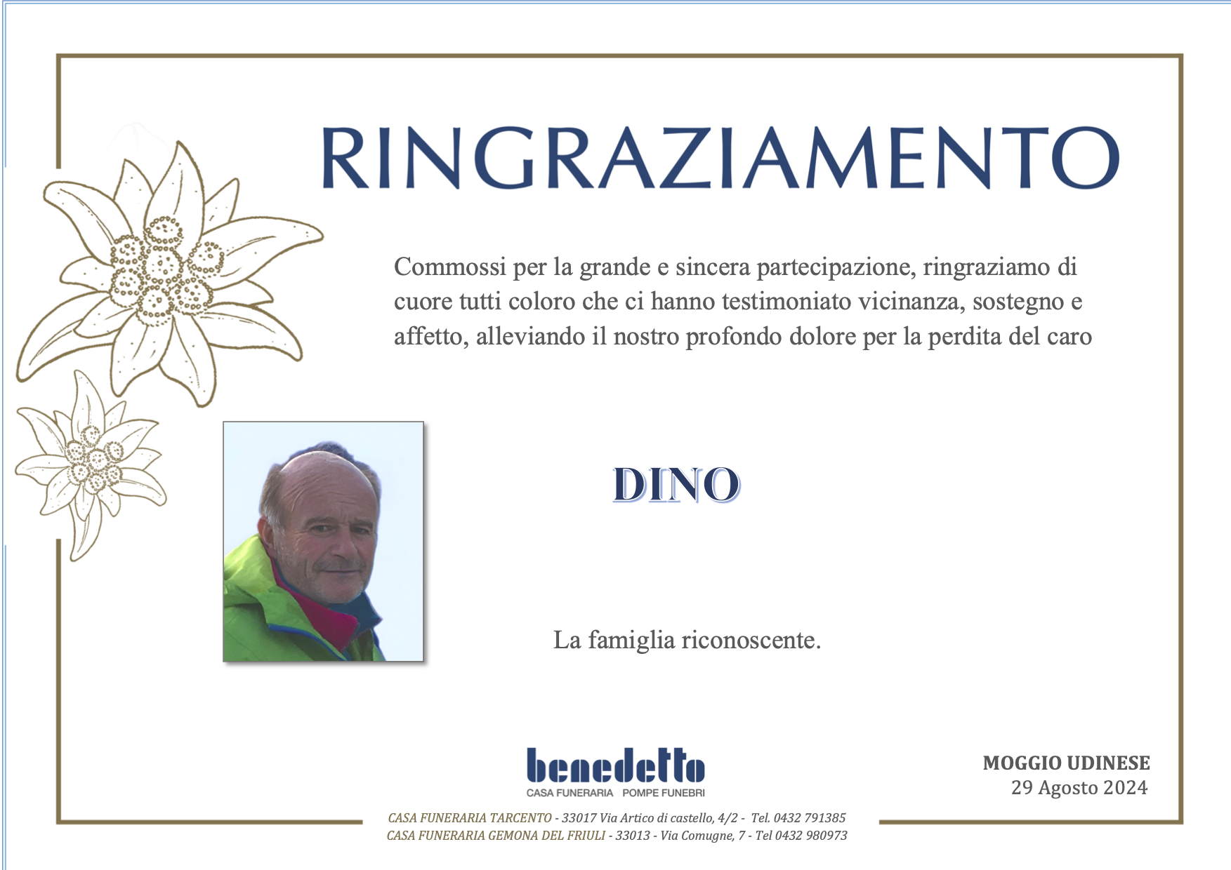 DINO DI BERNARDO
