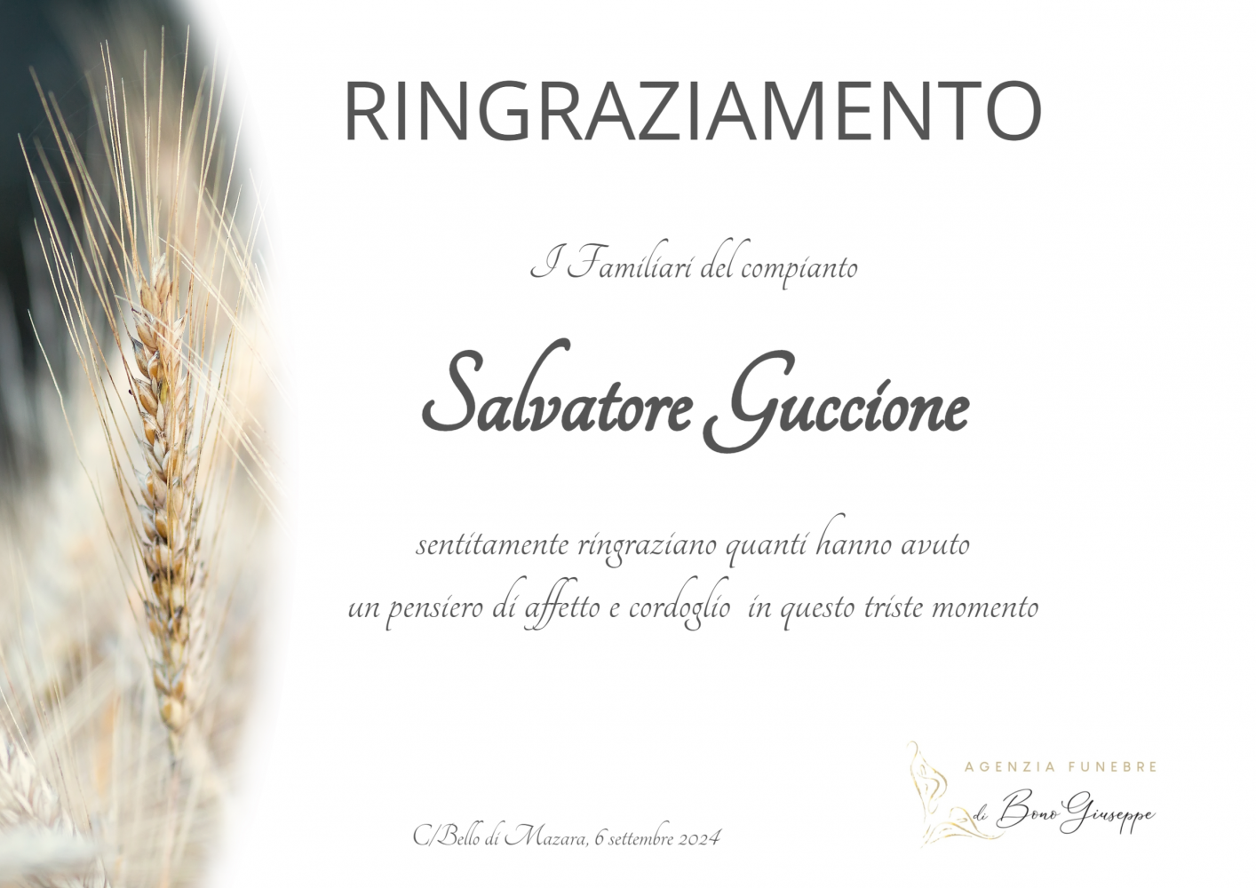 Salvatore Guccione