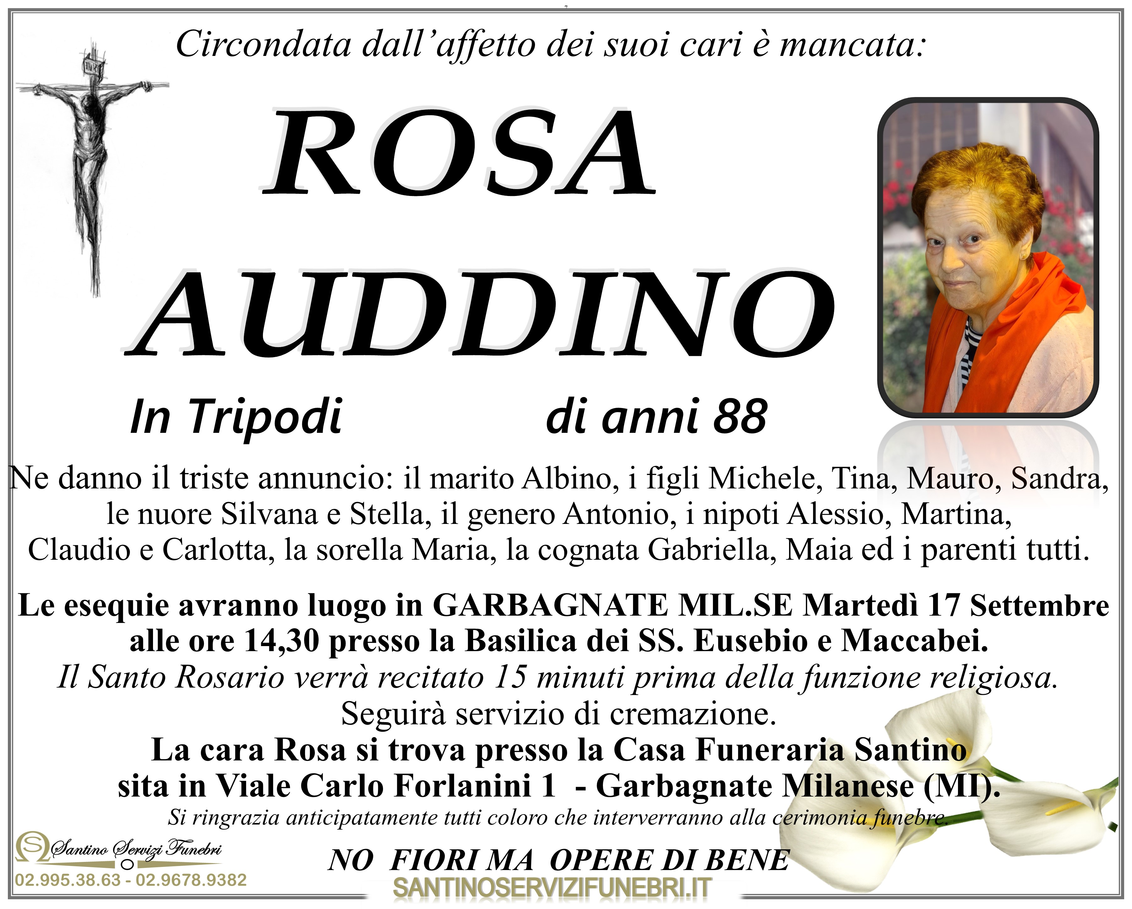ROSA AUDDINO