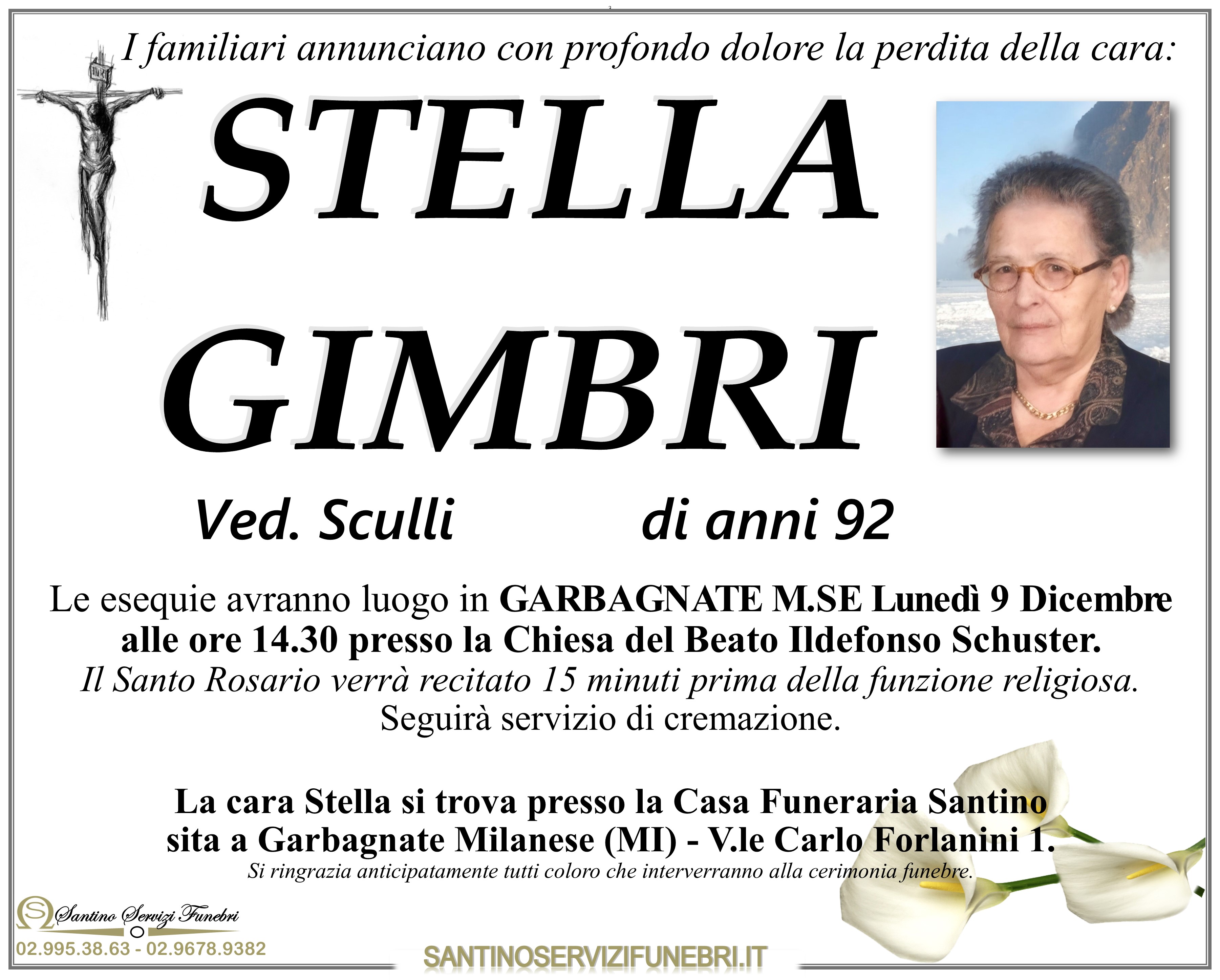 STELLA GIMBRI