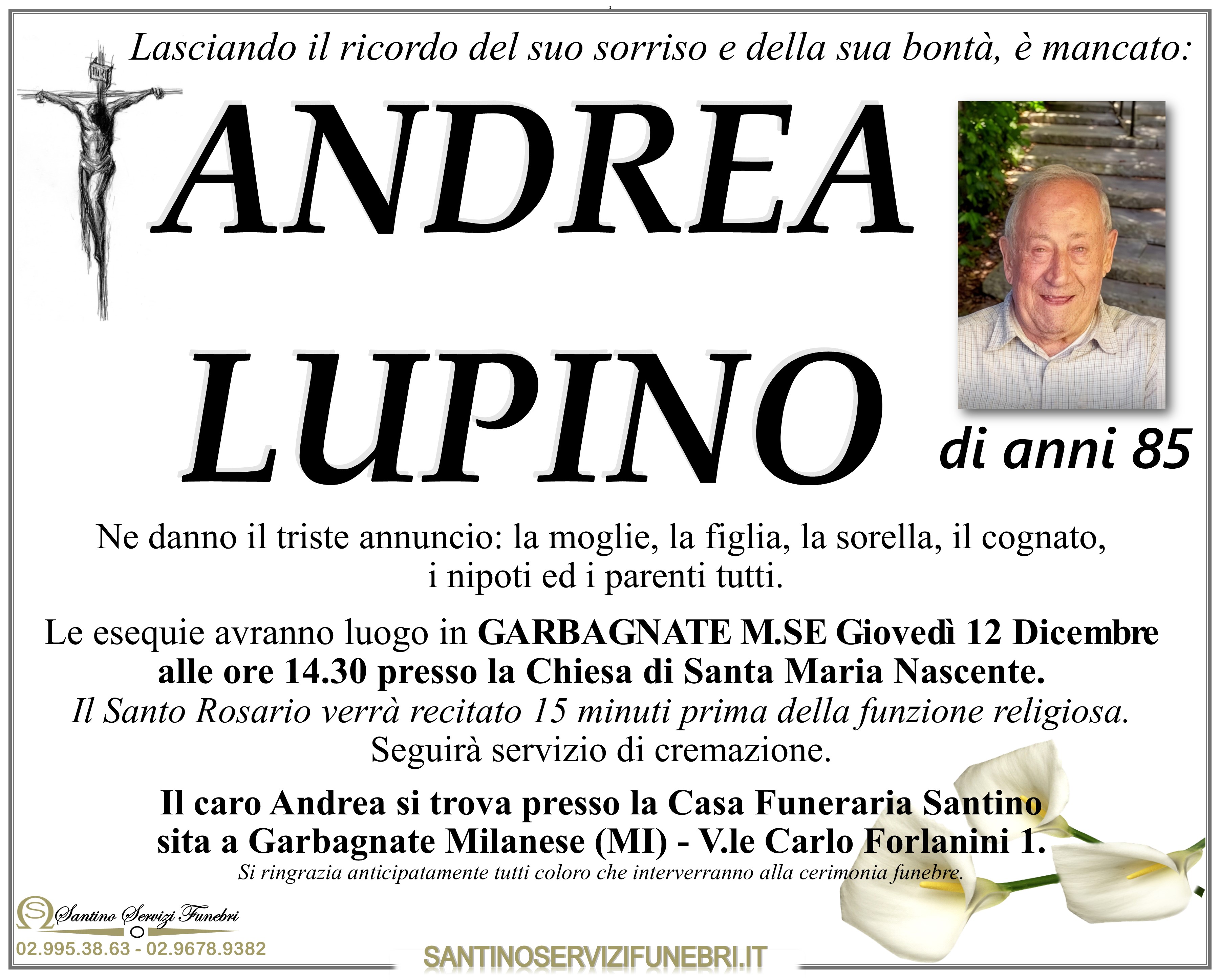 ANDREA LUPINO