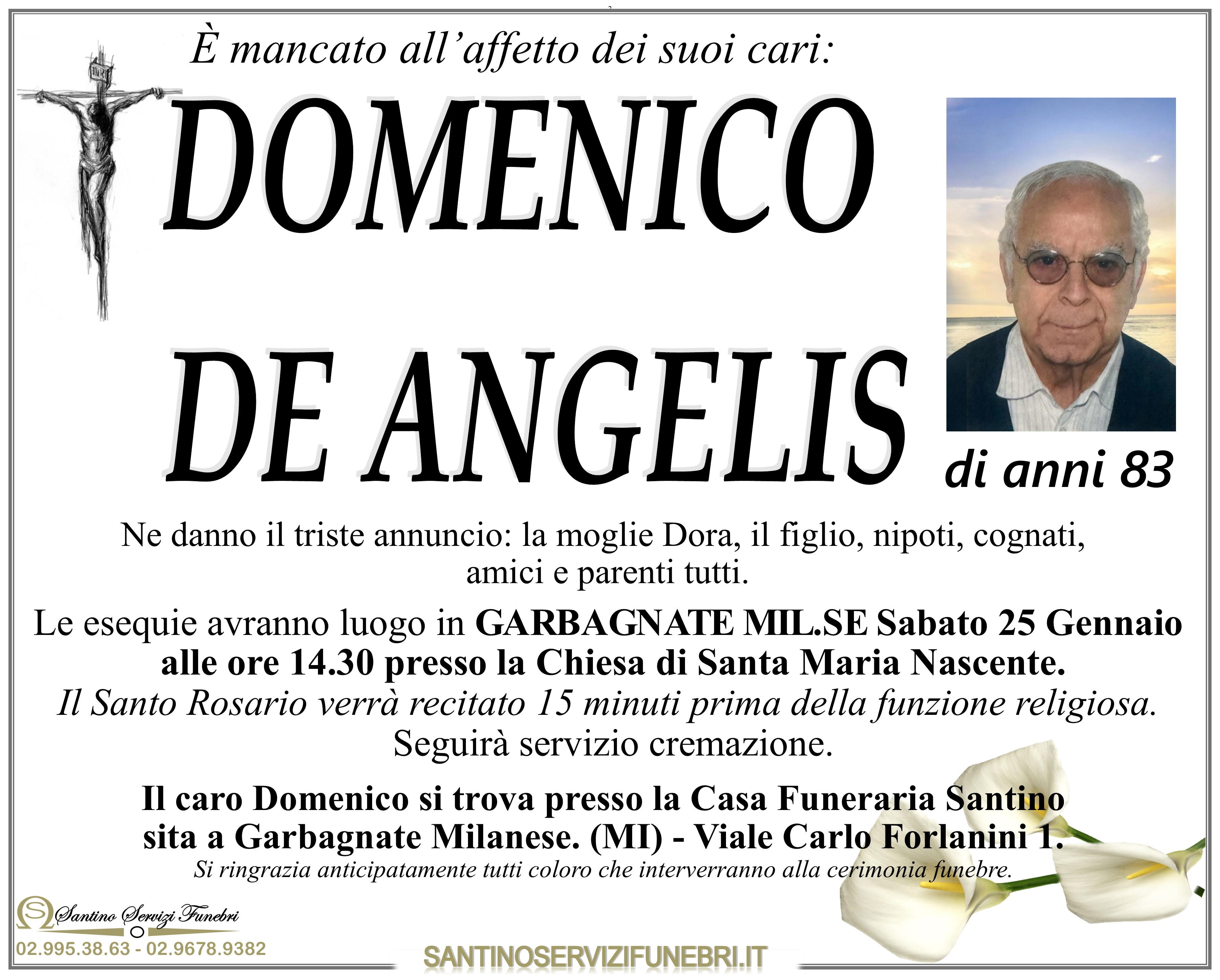 DOMENICO DE ANGELIS