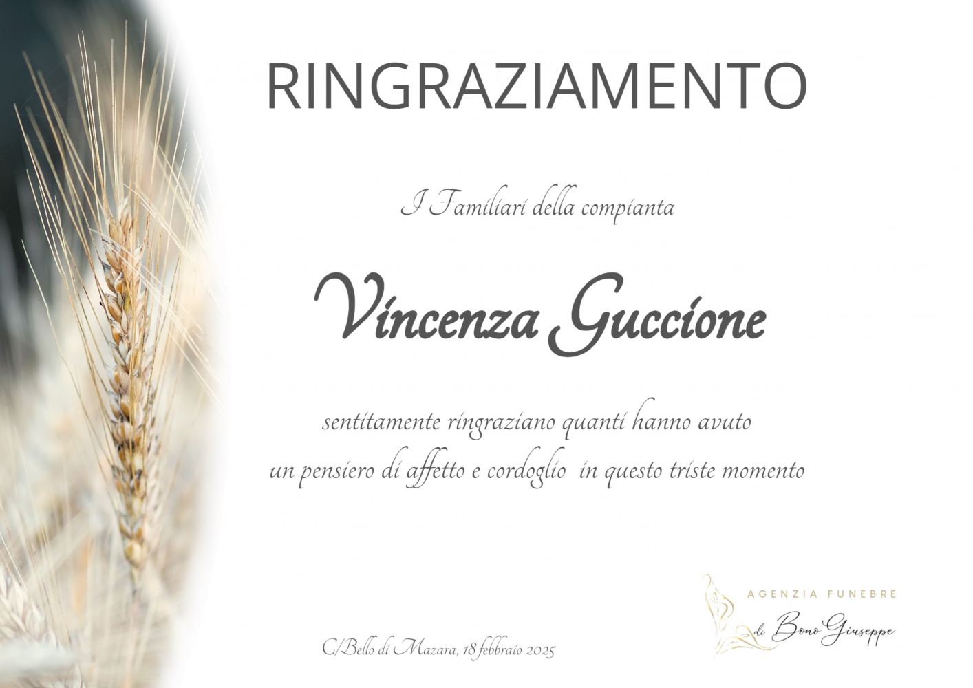 Vincenza Guccione