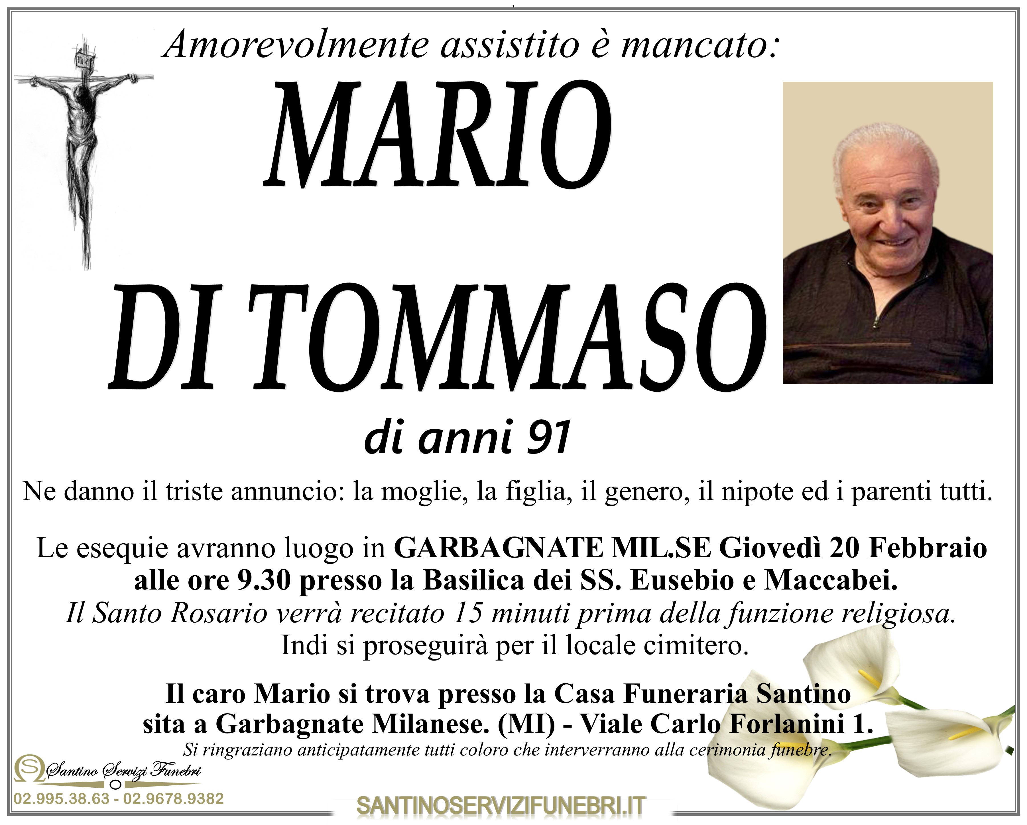 MARIO DI TOMMASO