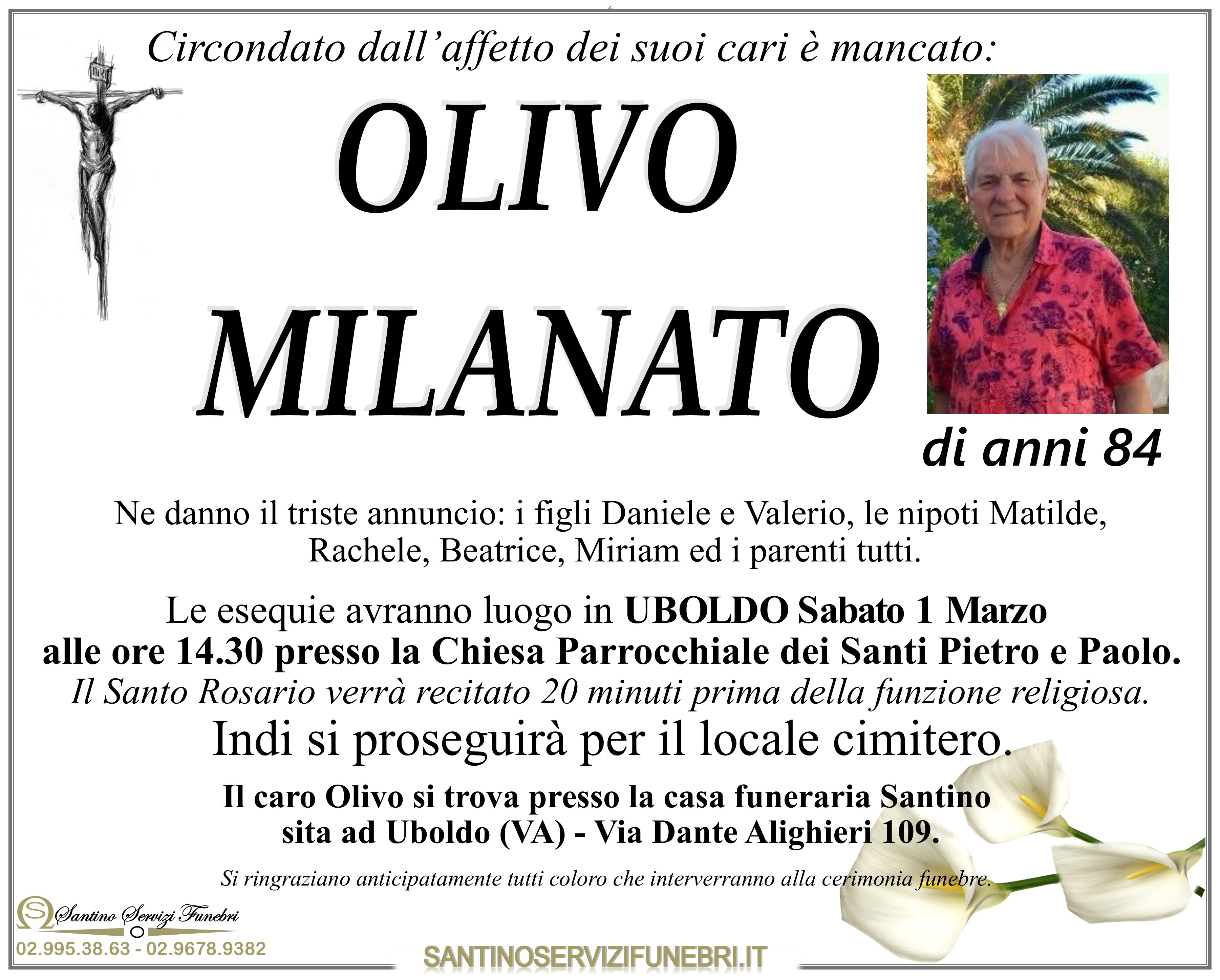 OLIVO MILANATO
