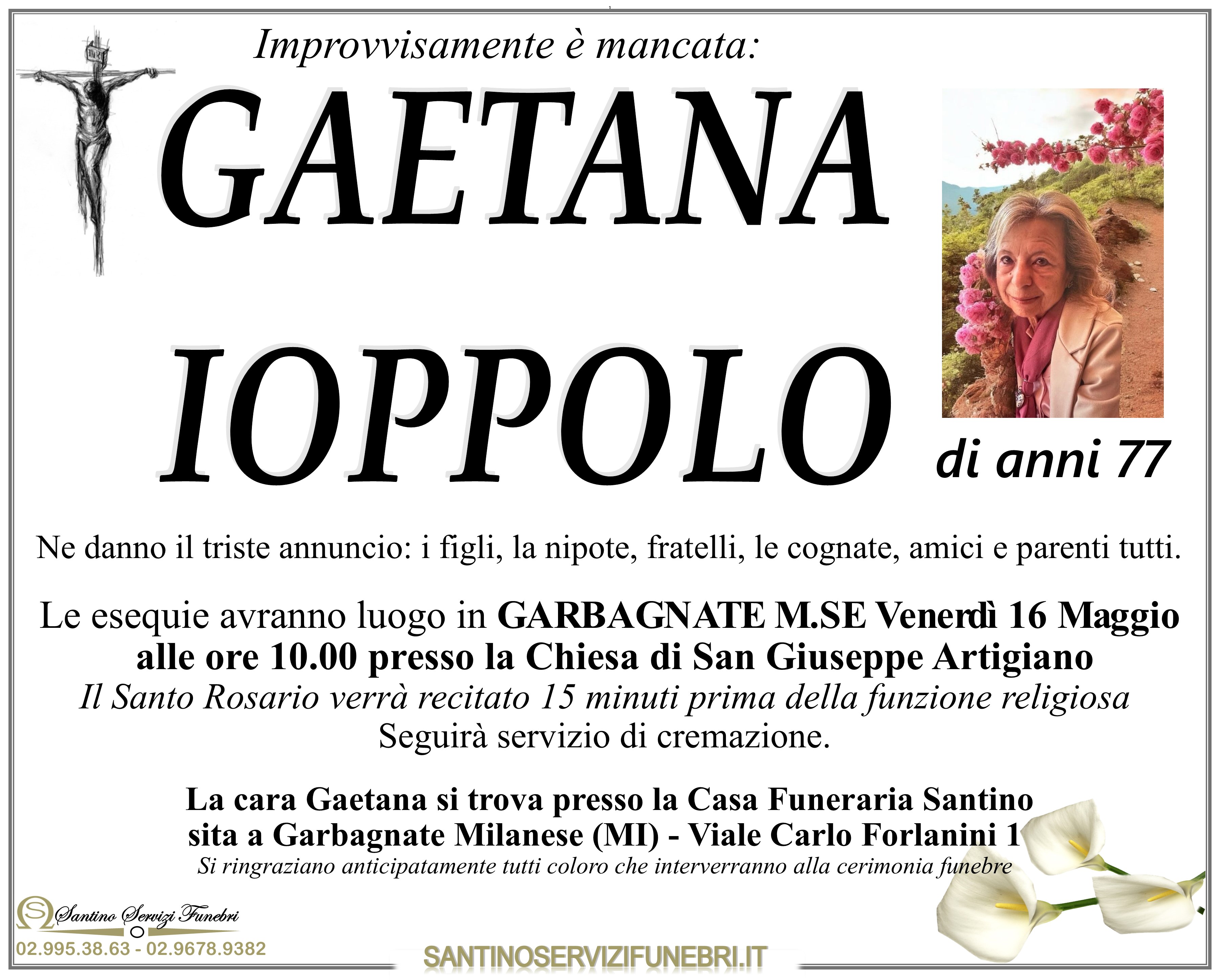 GAETANA IOPPOLO