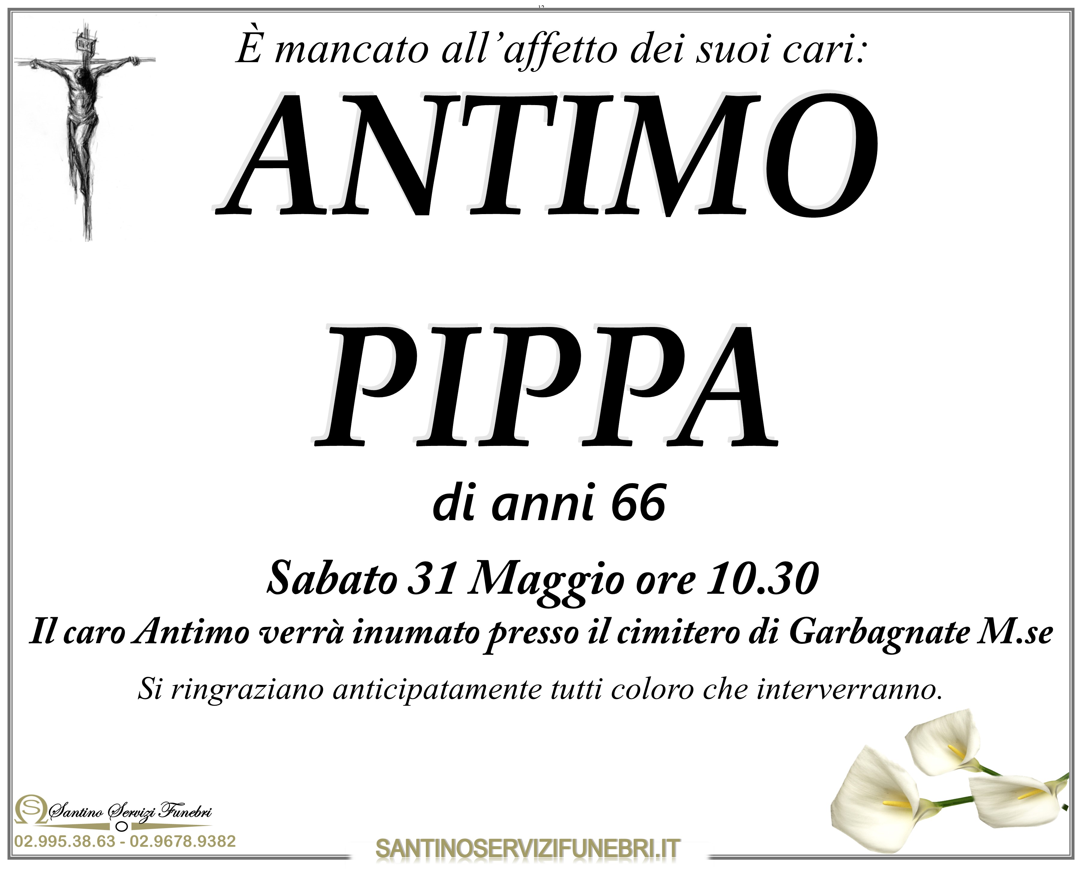 ANTIMO PIPPA