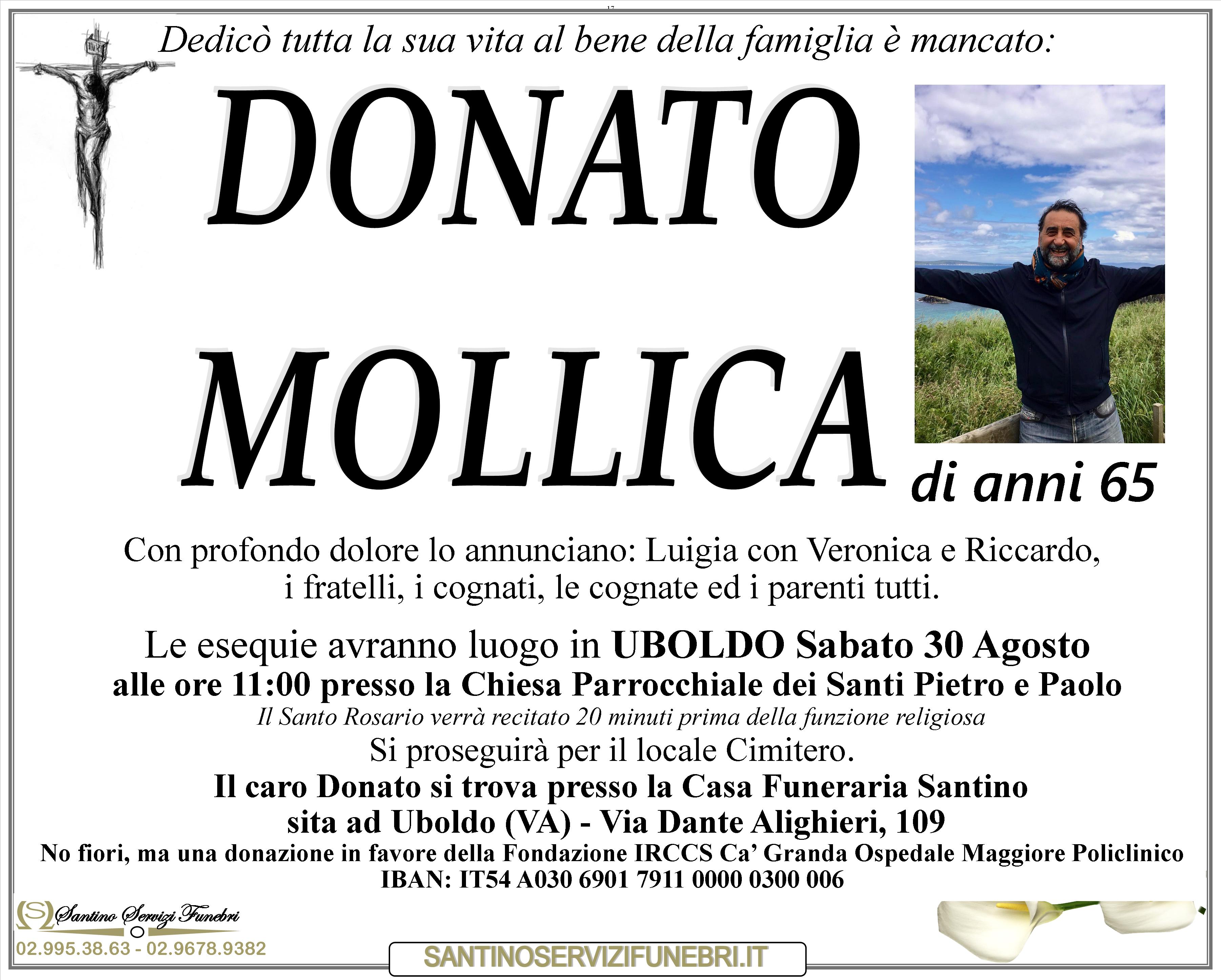 DONATO MOLLICA