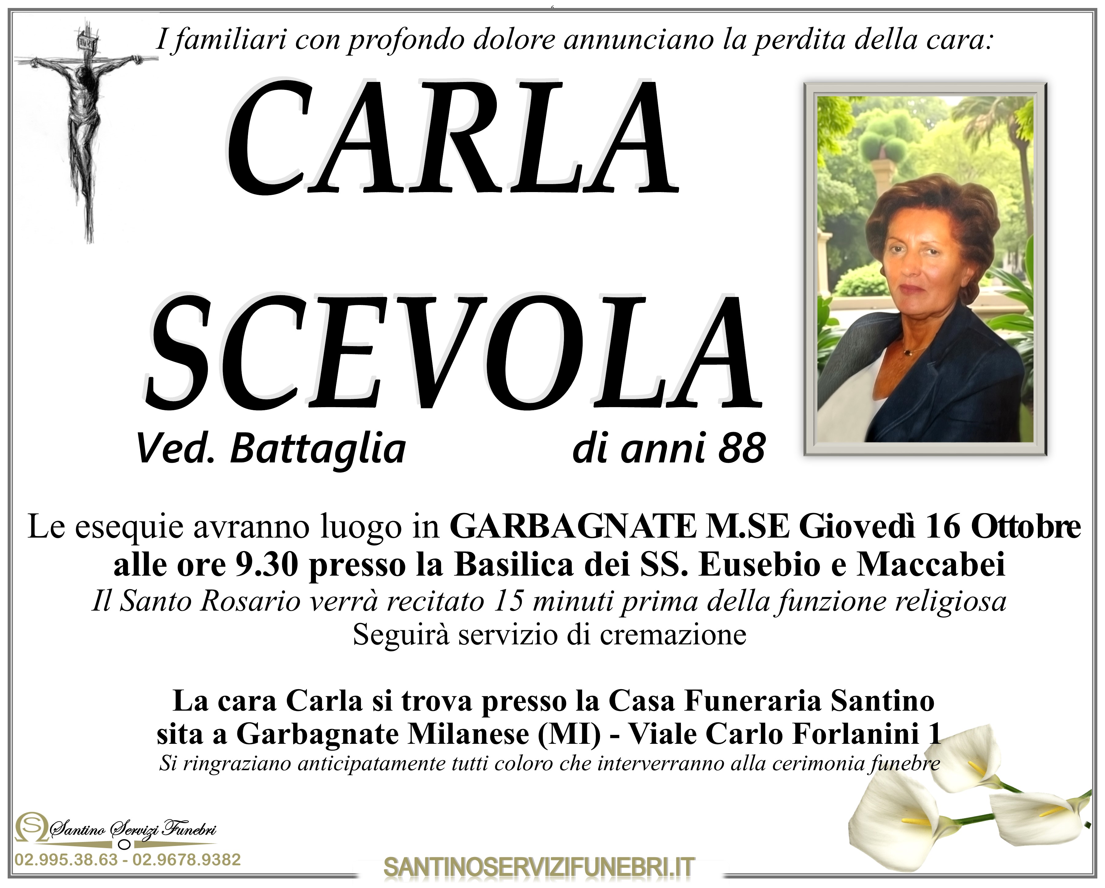 CARLA SCEVOLA