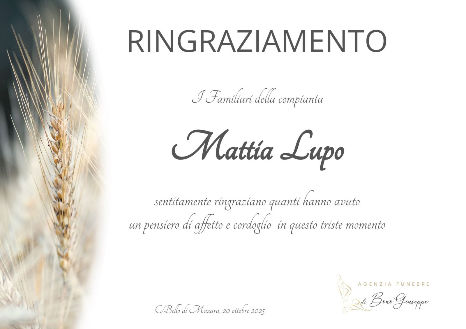 Mattia Lupo