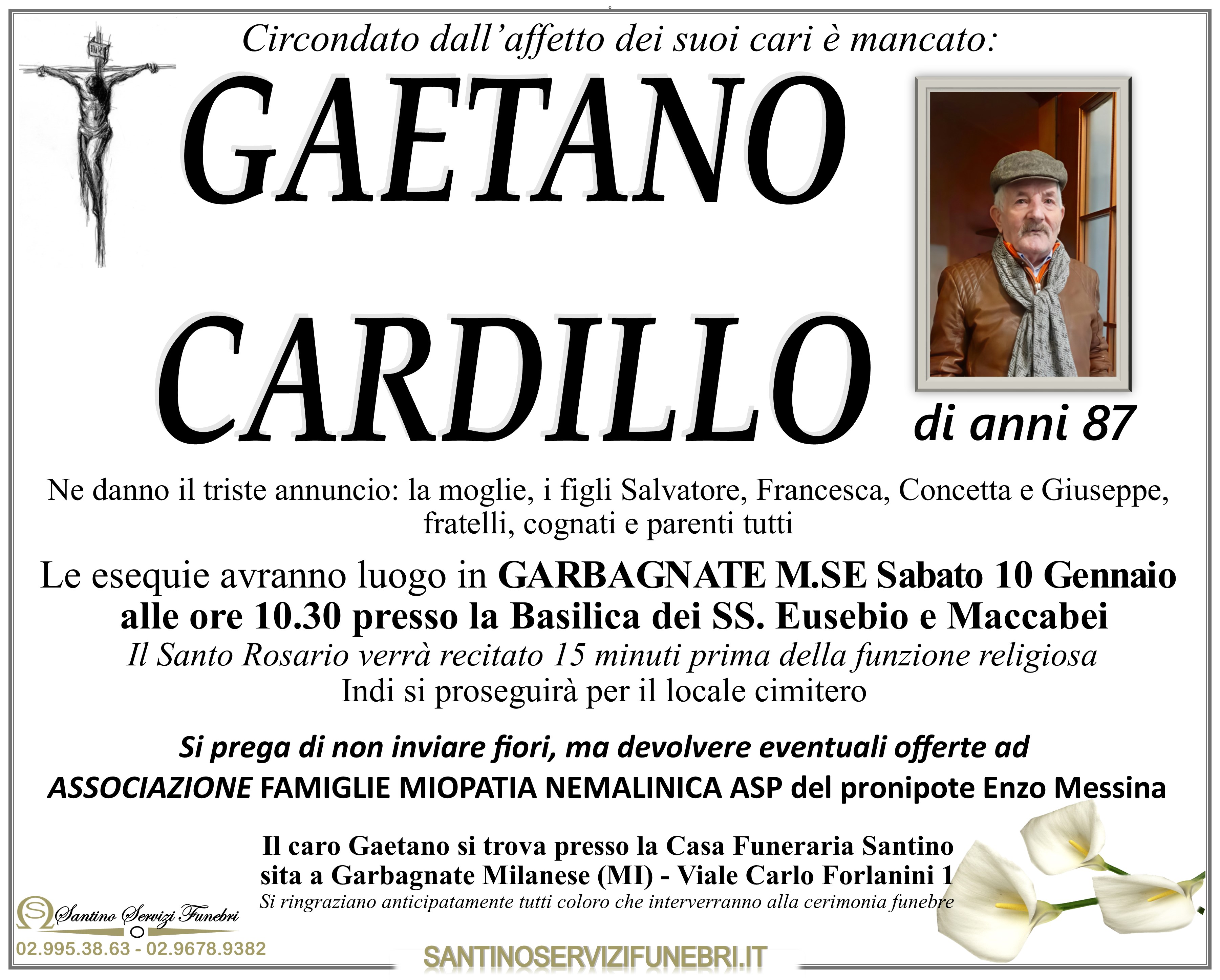 GAETANO CARDILLO
