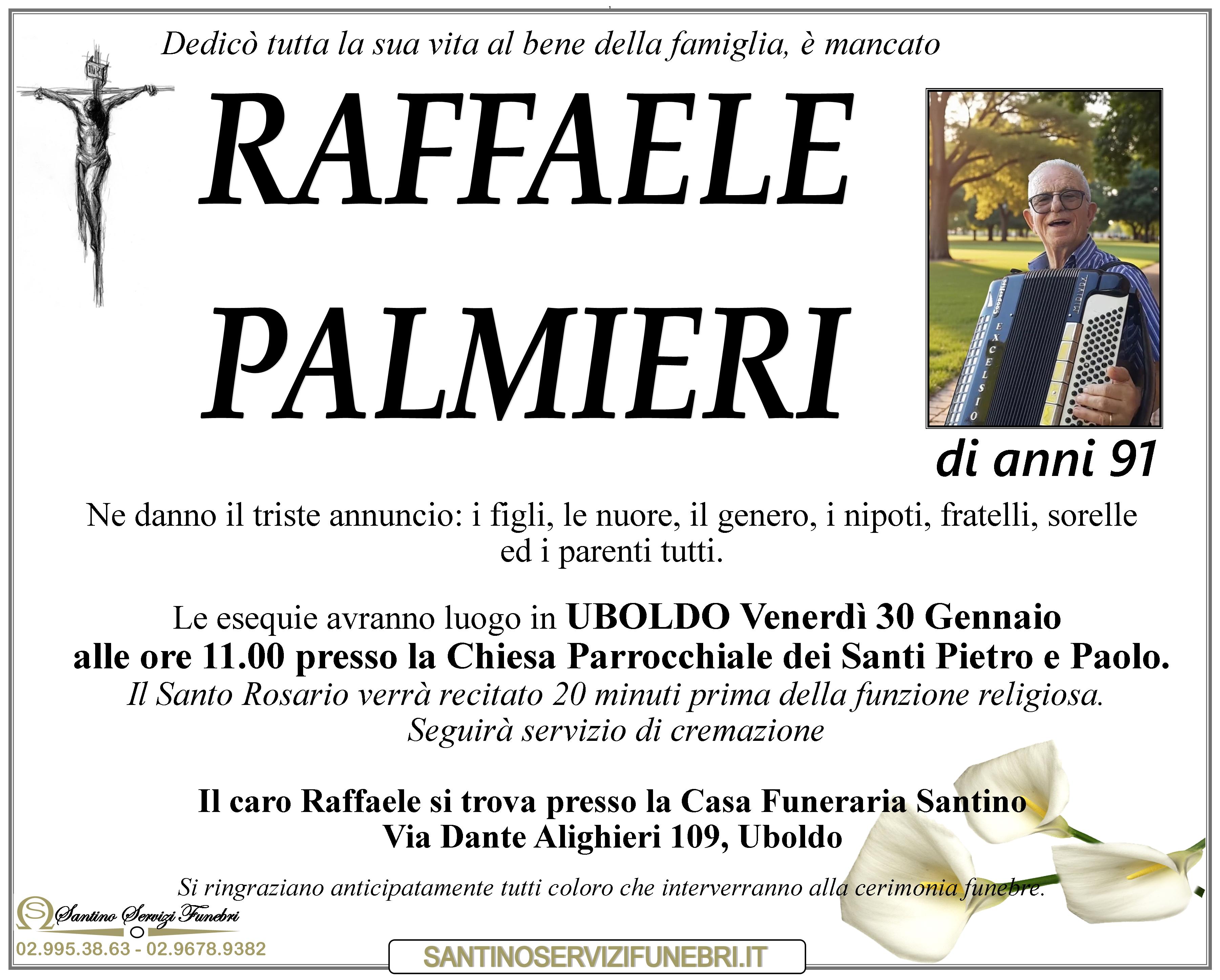 Raffaele Palmieri