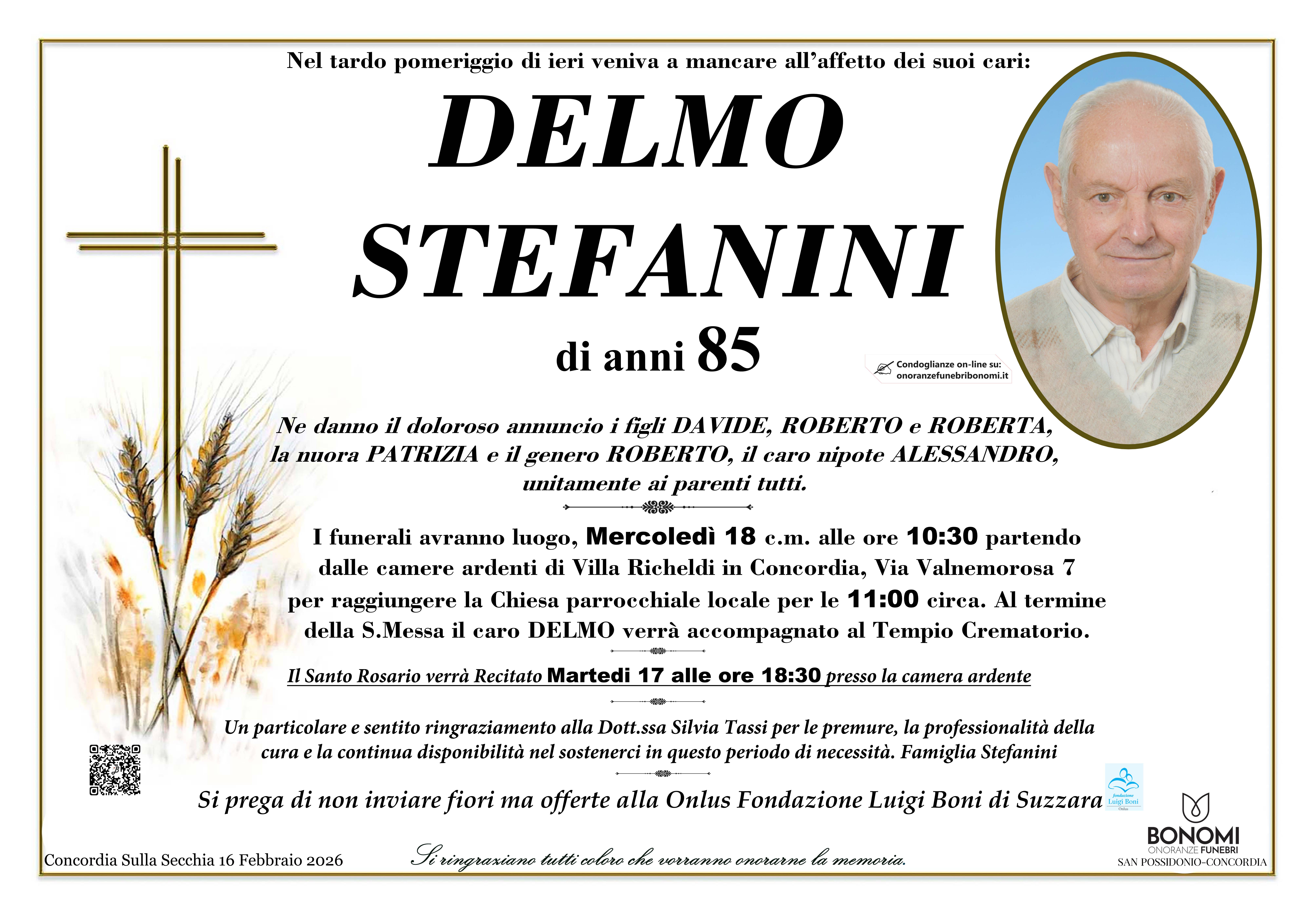 DELMO STEFANINI