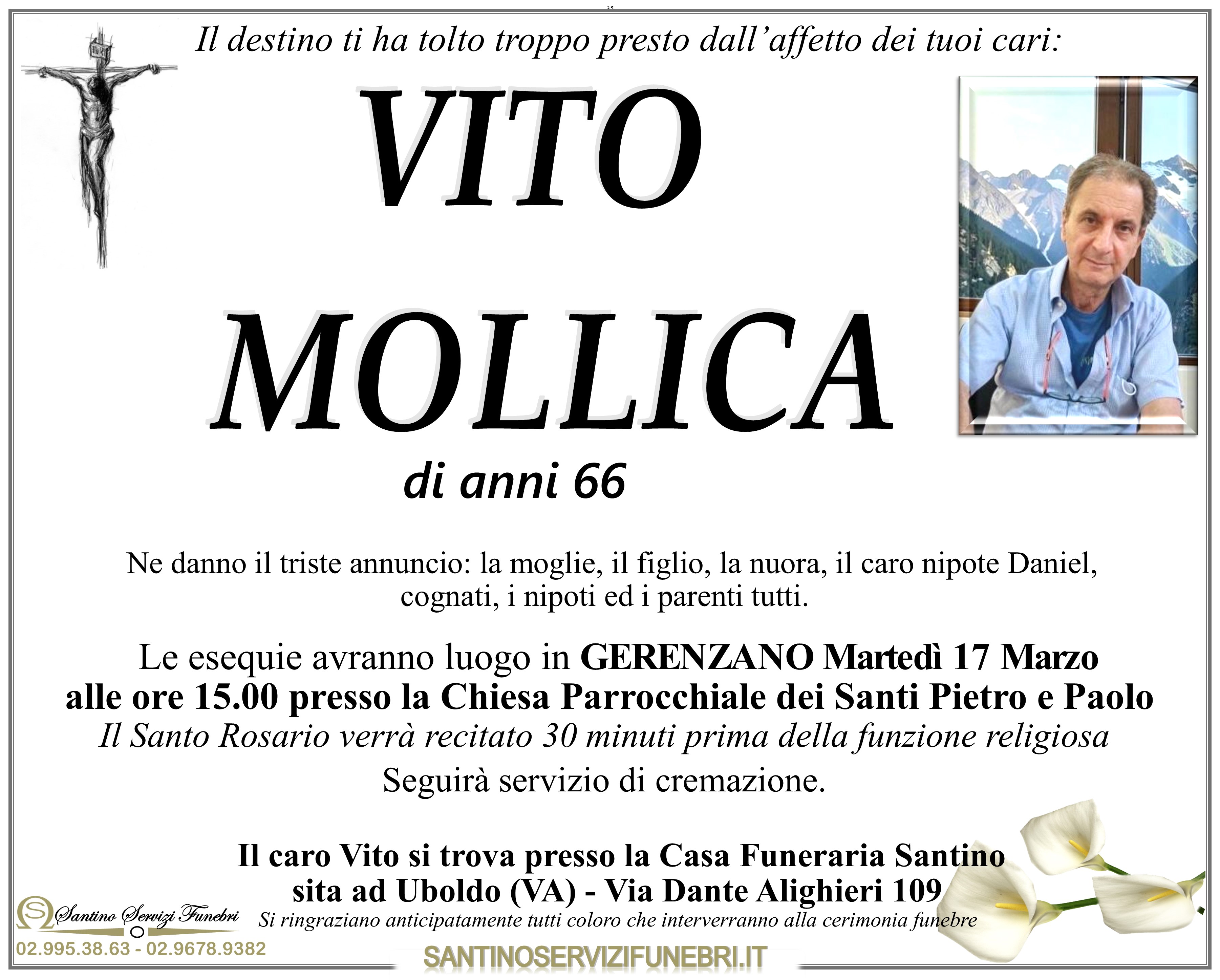 VITO MOLLICA