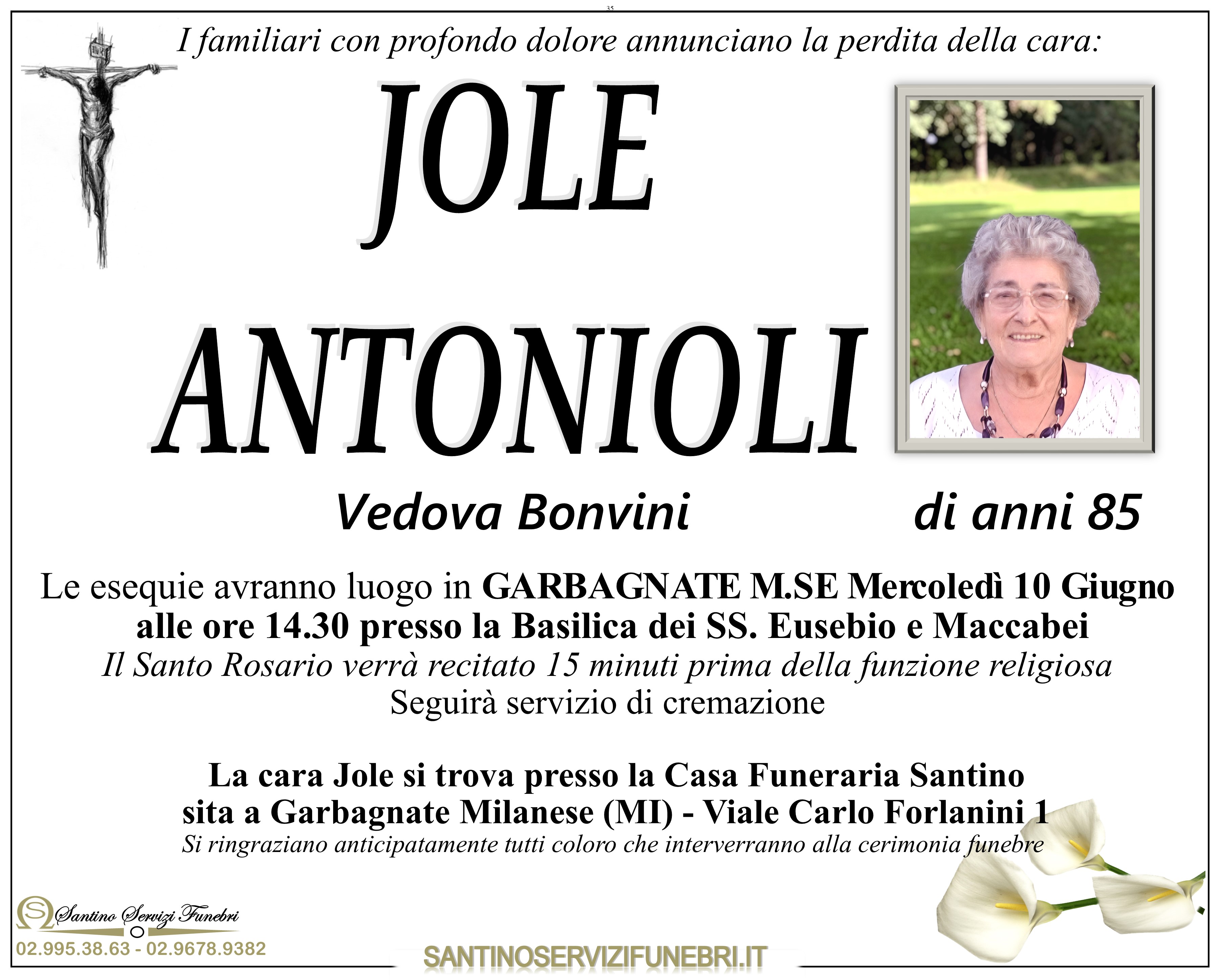 JOLE ANTONIOLI