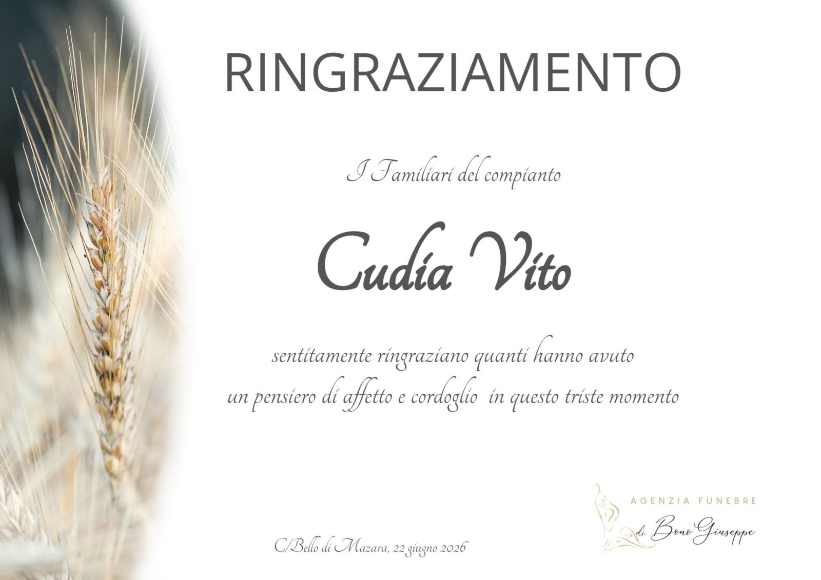 Cudia Vito