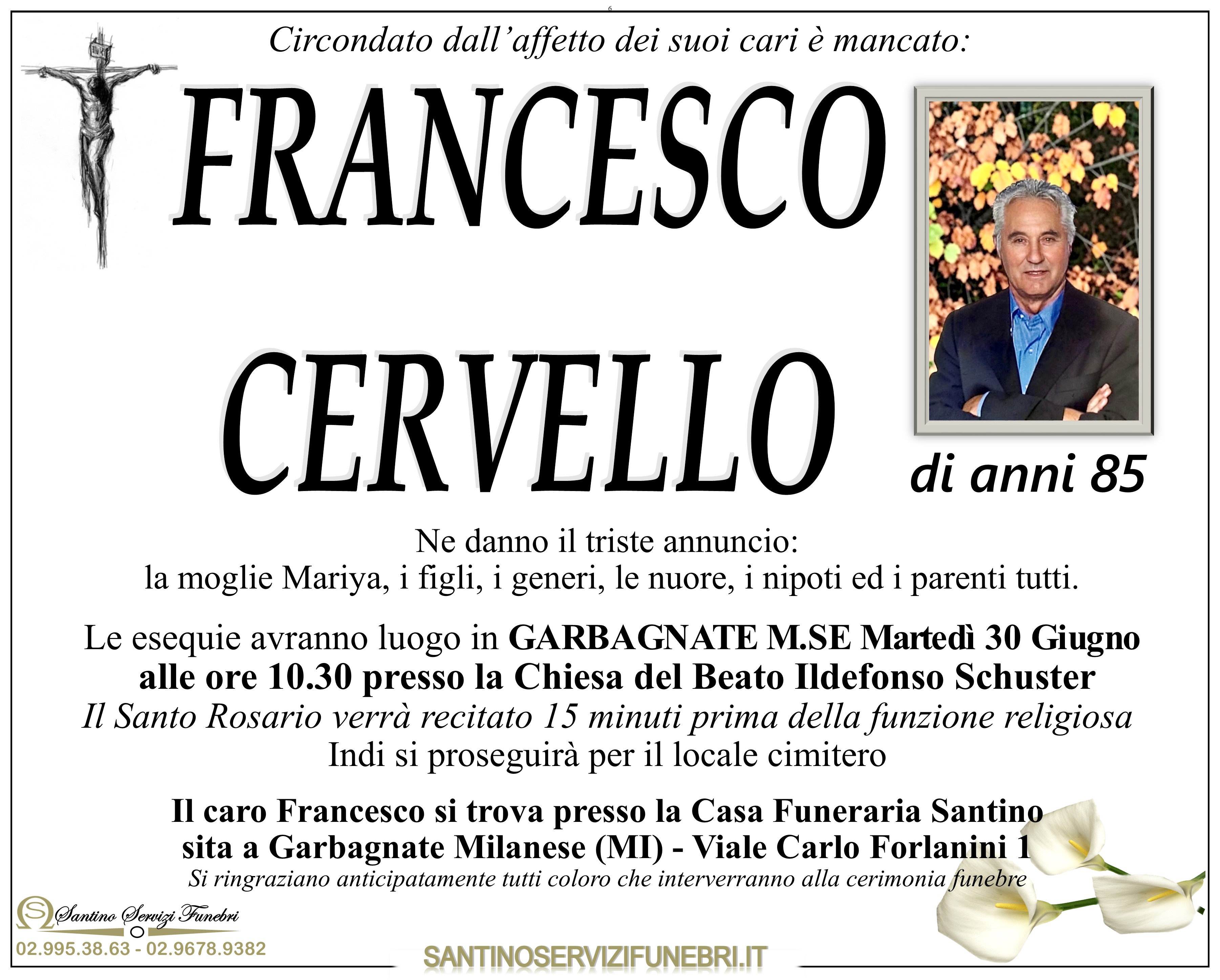 FRANCESCO CERVELLO