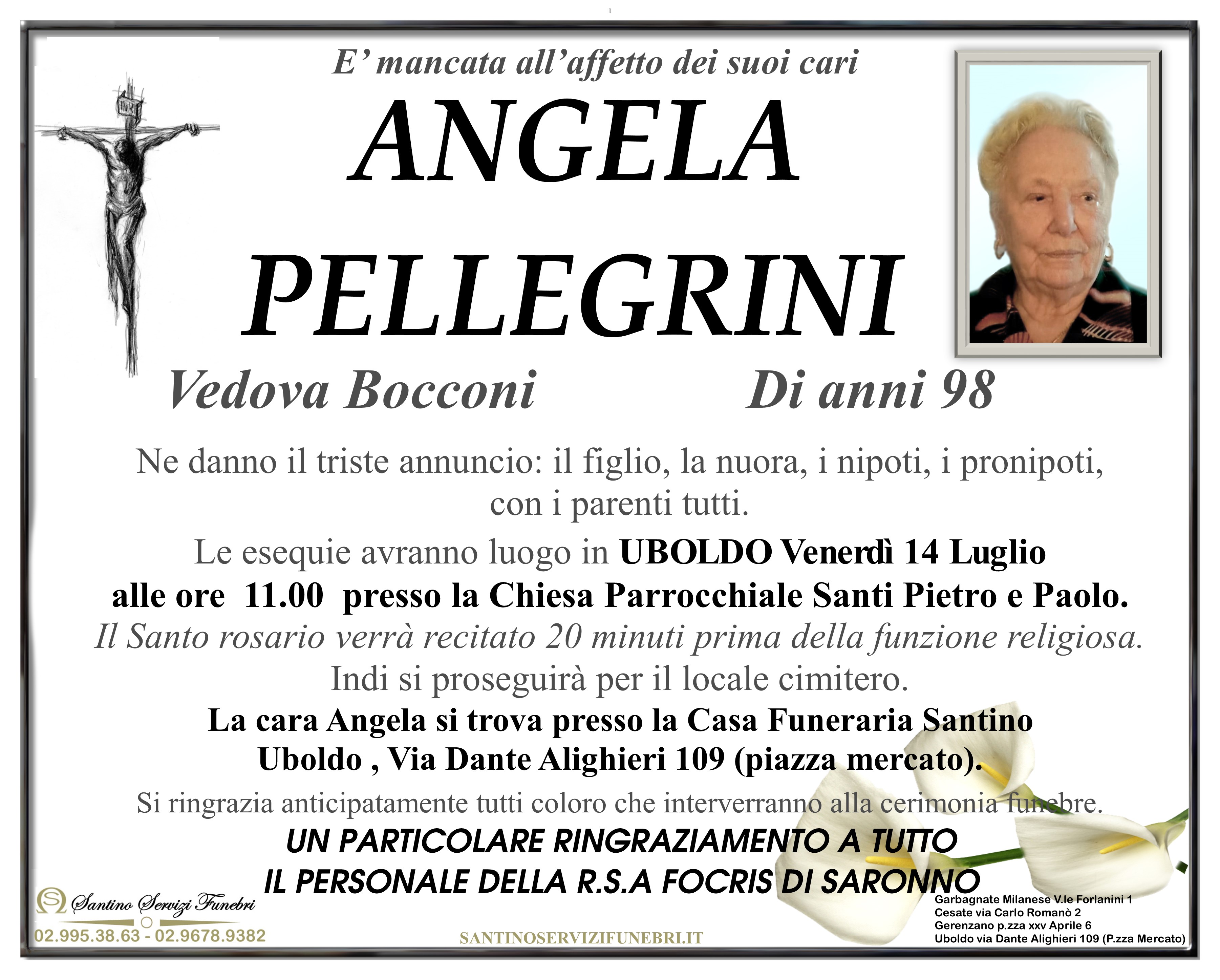 ANGELA PELLEGRINI