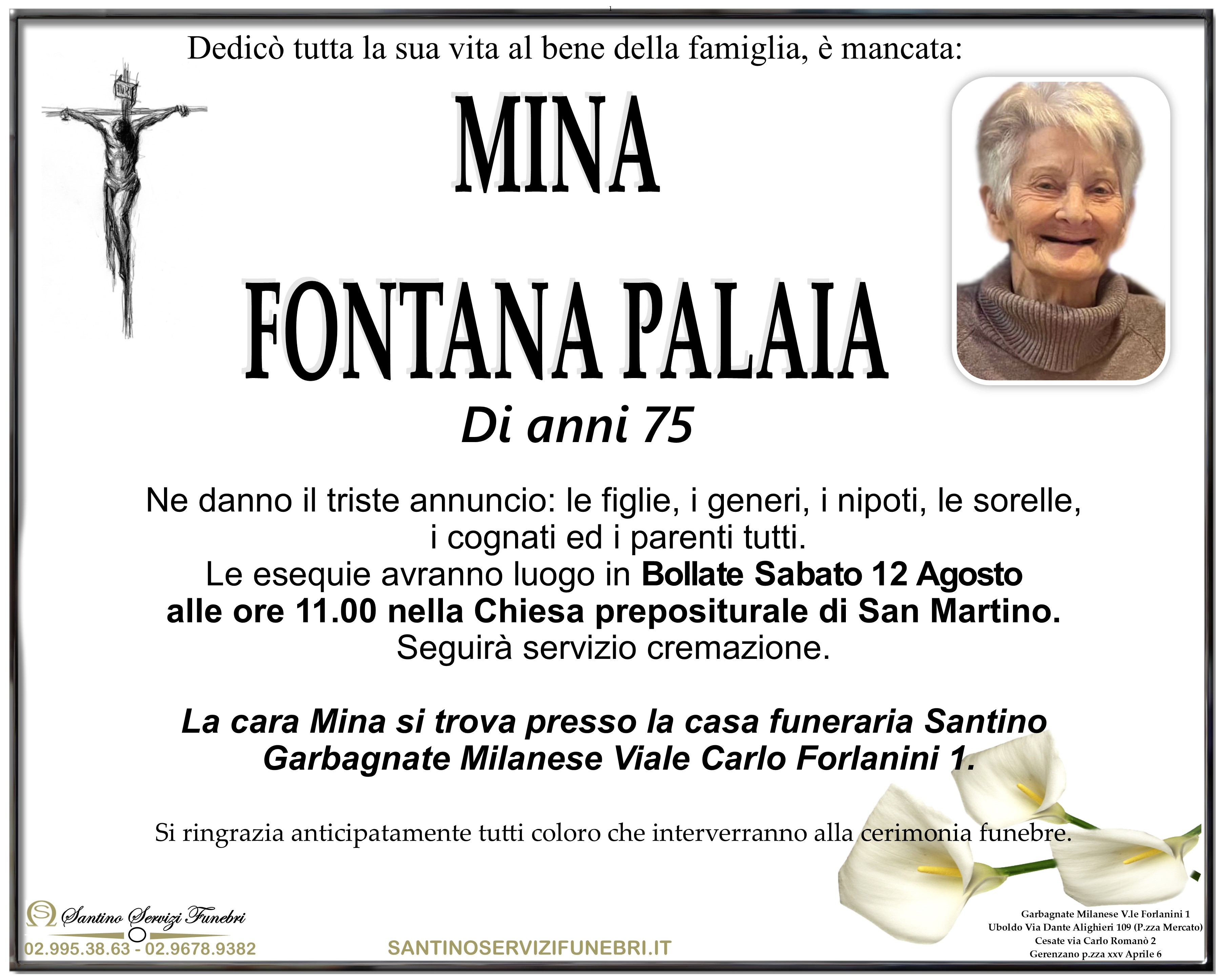 MINA FONTANA PALAIA