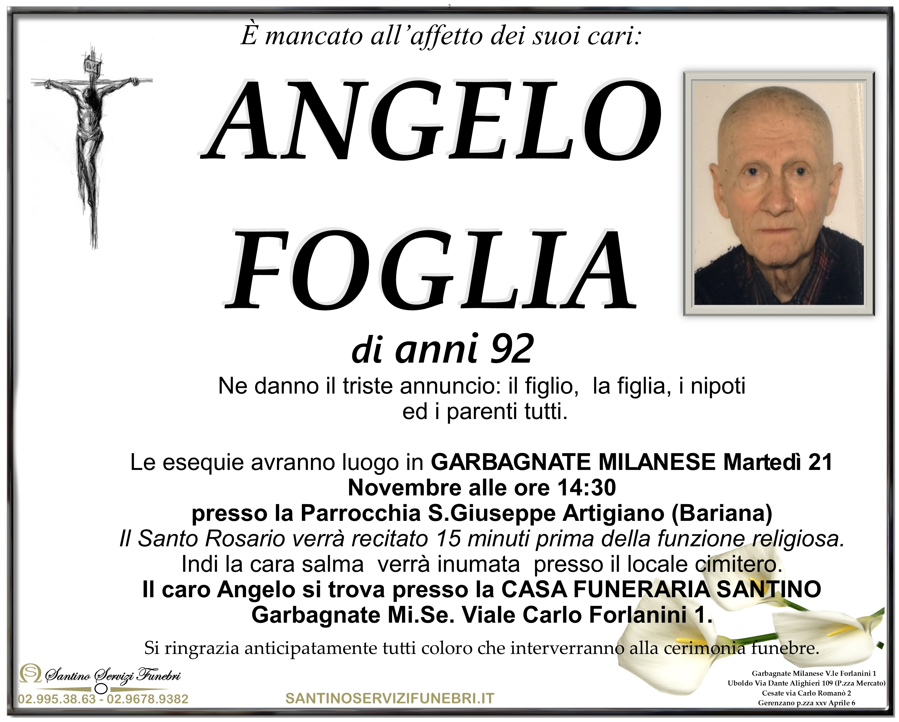 ANGELO FOGLIA