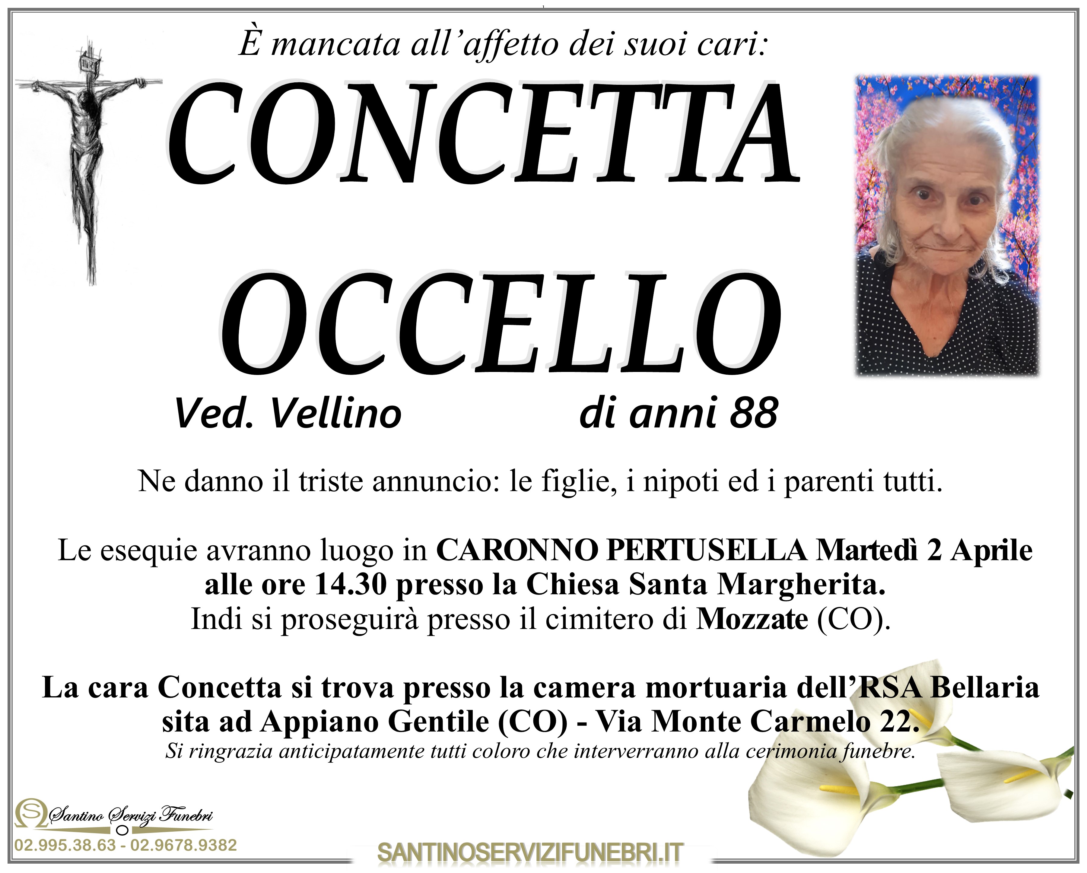 CONCETTA OCCELLO
